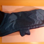 2011-01-12 02.30.37