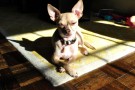 Burger-Sun-Spot-Close