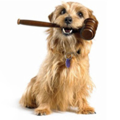 Pet Laws