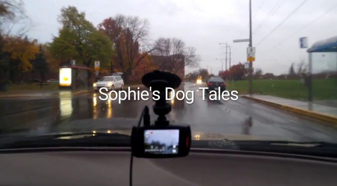 Sophie’s Dog Tales – Trailer